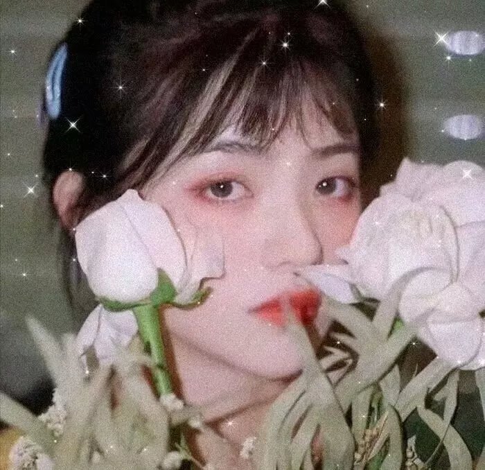 百合花开